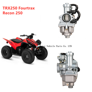 Honda TRX250 TRX250TM TRX250TE Carburatore Fourtrax manuale